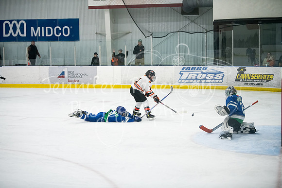 20241207Hockey-8695