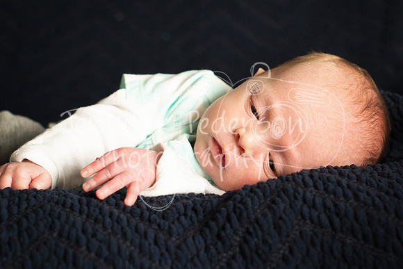 1BabyH012014-4720