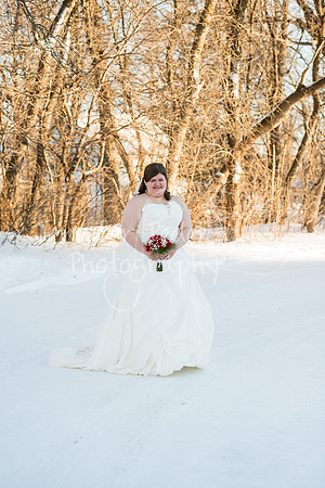 SwensonWedding020714-4275