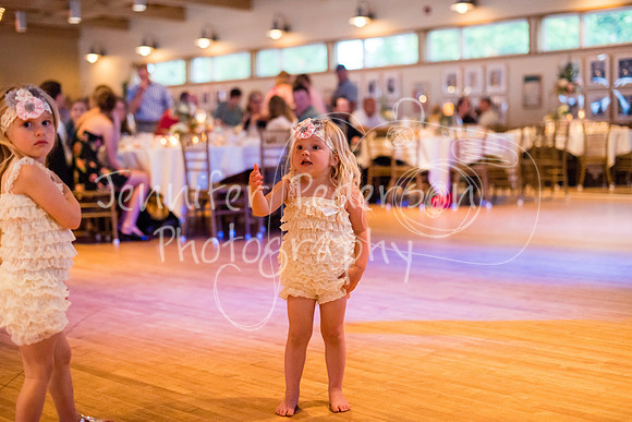 SturmWedding06062014-0515