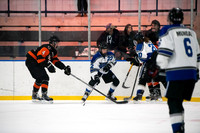 20260129MBAJVBvsParkRapids-0645