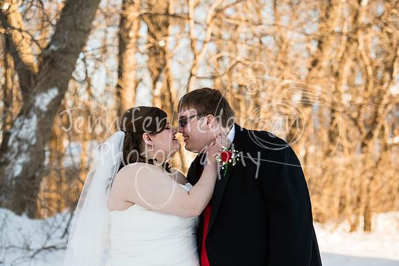 SwensonWedding020714-4173
