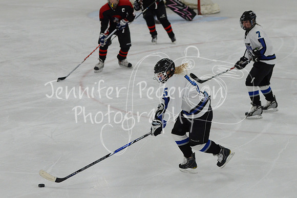 1DSC_2010