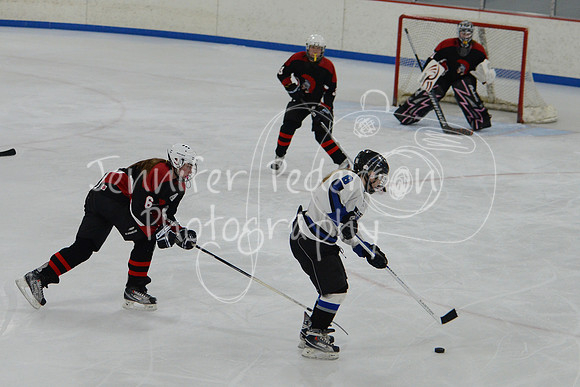 1DSC_2041