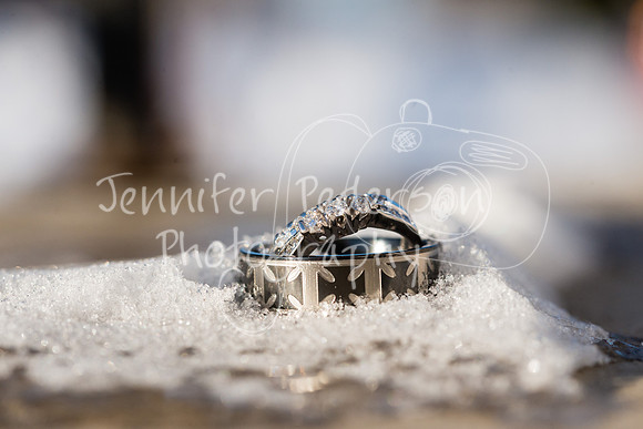 SwensonWedding020714-4115
