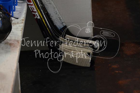 1DSC_2833