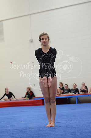 1DSC_2306