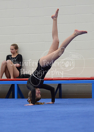 1DSC_2319