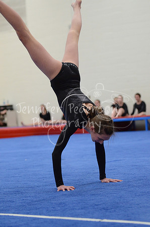 1DSC_2351