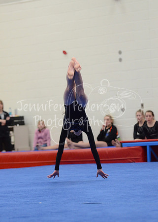 1DSC_2377