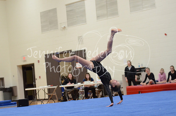 1DSC_2419