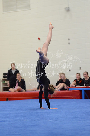 1DSC_2430