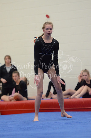 1DSC_2433