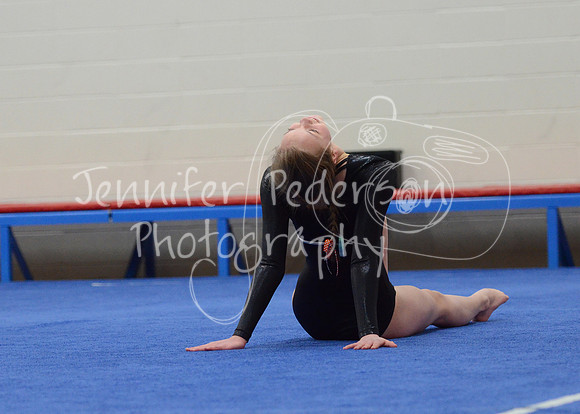 1DSC_2452