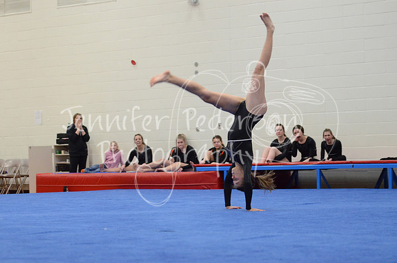 1DSC_2480