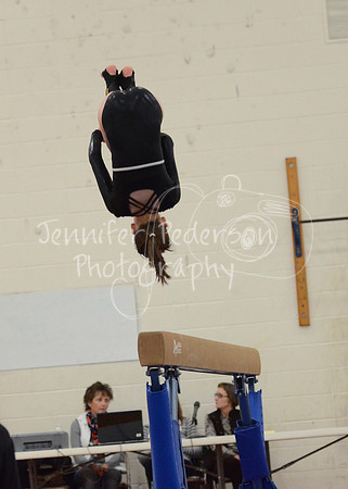 1DSC_2495