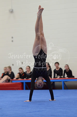 1DSC_2503