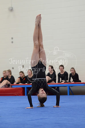 1DSC_2504