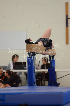 1DSC_2517