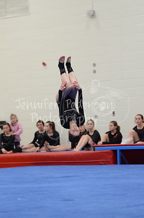 1DSC_2533