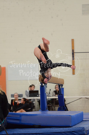 1DSC_2545