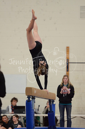 1DSC_2595