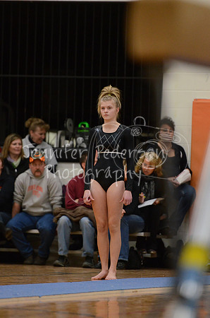 1DSC_2601