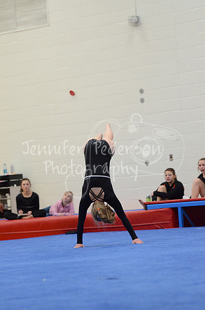 1DSC_2610