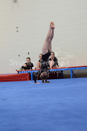 1DSC_2618