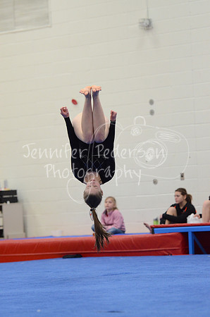 1DSC_2633
