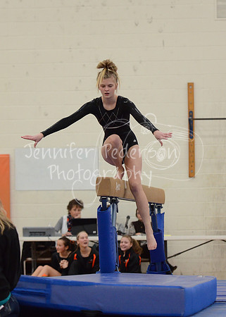 1DSC_2654
