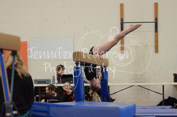 1DSC_2663