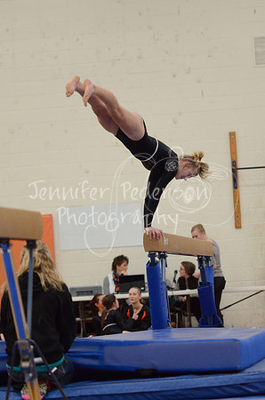 1DSC_2678