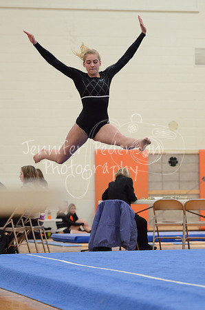 1DSC_2693