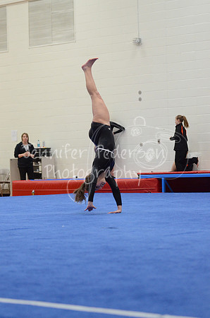 1DSC_2784