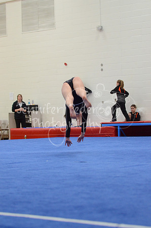 1DSC_2785