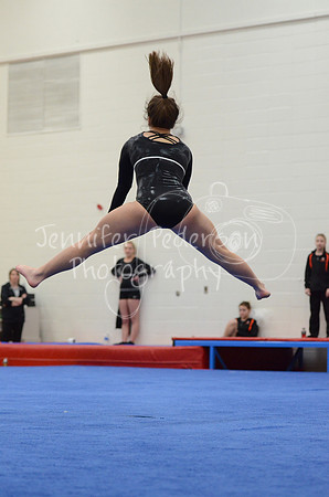 1DSC_2817