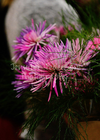 1DSC_2867