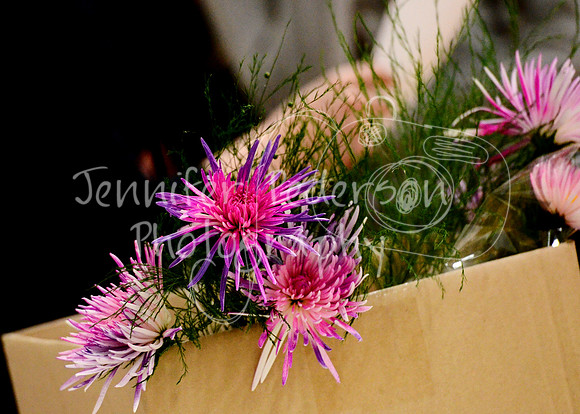 1DSC_2973