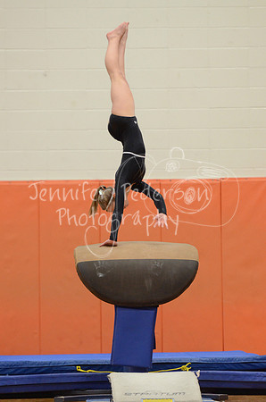 1DSC_2984