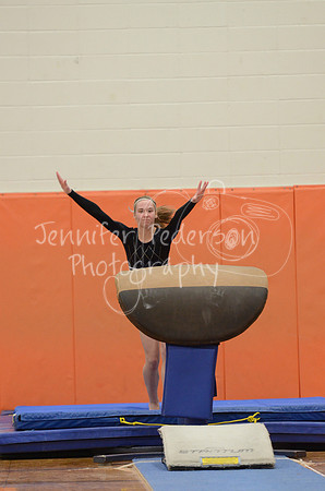 1DSC_2985