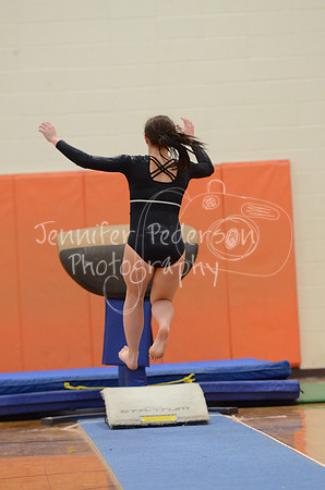 1DSC_2991