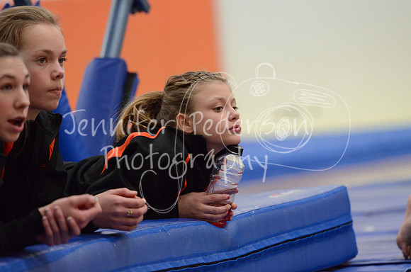 1DSC_3037