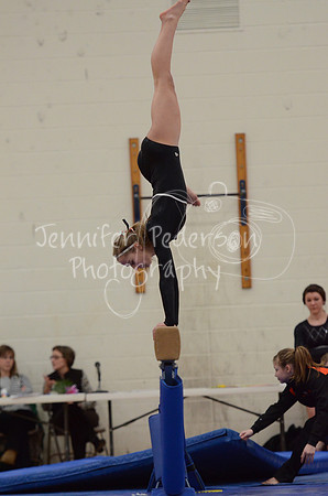 1DSC_3236