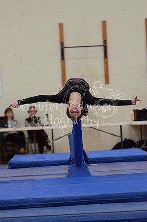 1DSC_3337