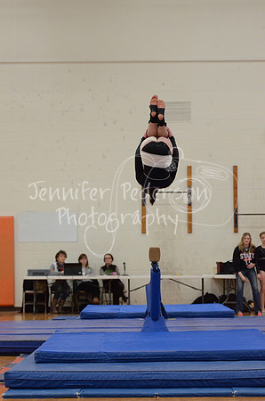 1DSC_3365