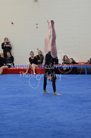 1DSC_3444