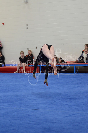 1DSC_3445