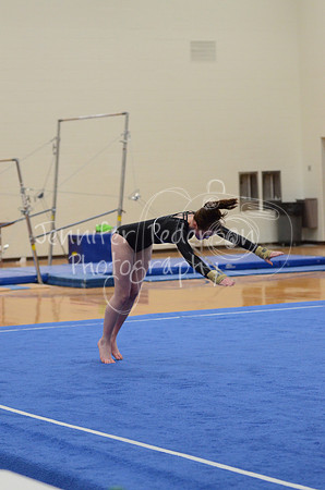 1DSC_3451