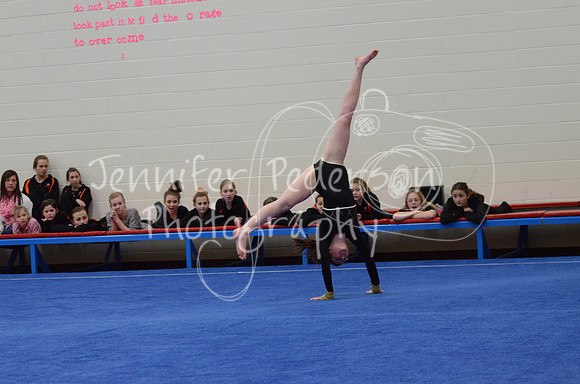 1DSC_3463